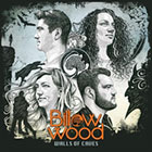 Billow Wood - Walls of Caves 'debut album' released