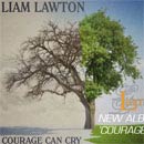Liam Lawton - Courage Can Cry